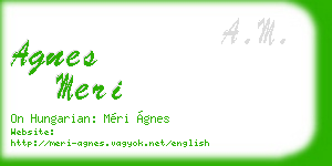 agnes meri business card