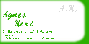 agnes meri business card